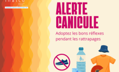 Alerte canicule : adoptez les bons r&eacute;flexes pour les rattrapages.