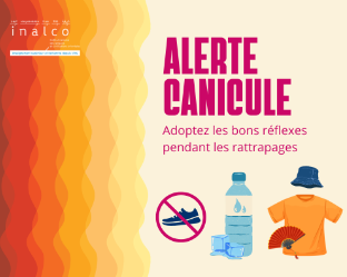 Alerte canicule : adoptez les bons r&eacute;flexes pour les rattrapages.