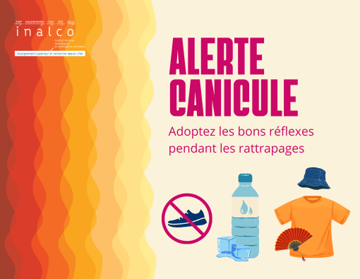 Alerte canicule : adoptez les bons r&eacute;flexes pour les rattrapages.