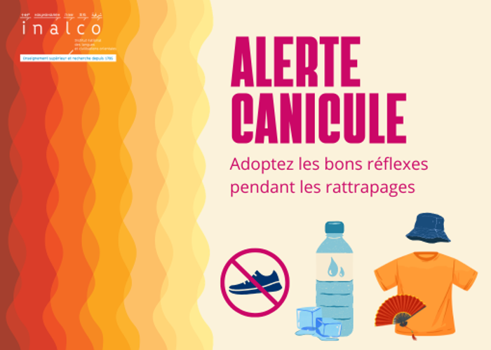 Alerte canicule : adoptez les bons r&eacute;flexes pour les rattrapages.