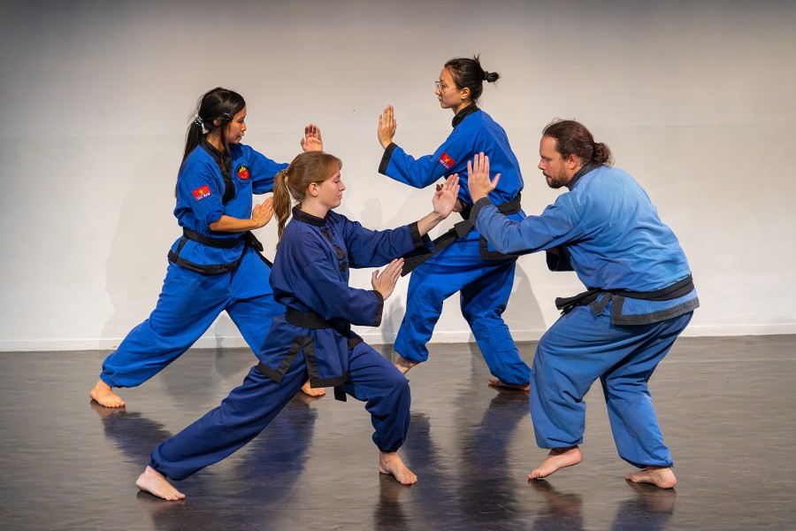 D&eacute;monstration d'art martial par quatre pratiquants